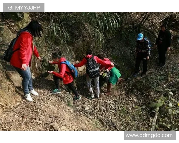 哈德森的魅力探秘：一场关于自然与人文的奇妙旅程